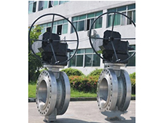 Butterfly Valve