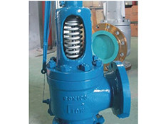 Safety Valve