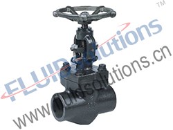 API602-Forged-Steel-ThreadedSocket-Welding-Globe-Valve-800