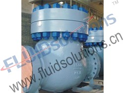 Cast Steel Check Valve