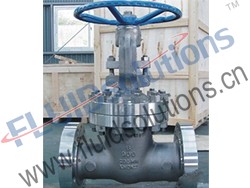 Stainless Steel Gate Valve