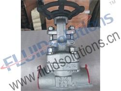 Stainless Steel Globe Valve