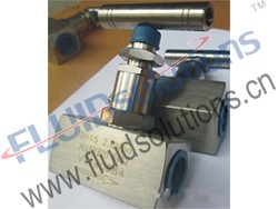 Thread Screwed Bonnet Needle Valve